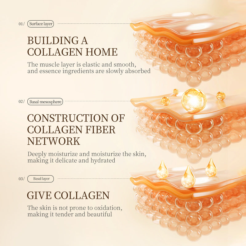 Collagen skin layer diagram showing collagen home, fiber network, and hydration process